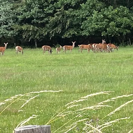 L Escurou Дом отдыха *